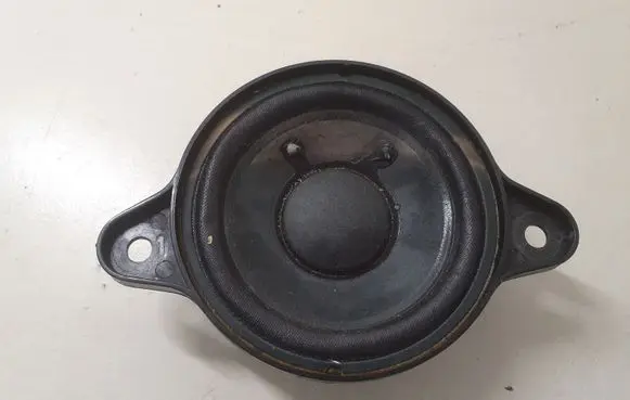 Panel speaker