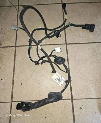 Front door wiring loom