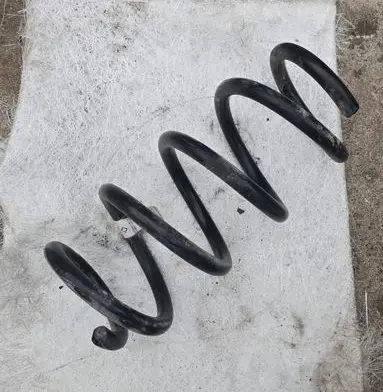 Rear coil spring
