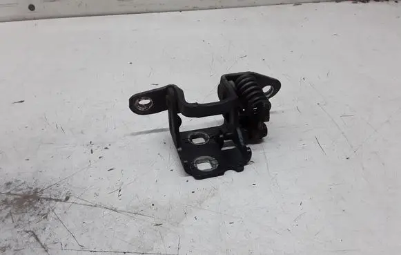 Chrysler Sebring (JS) Rear door lower hinge