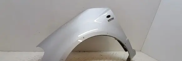 Suzuki SX4 Fender