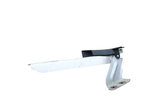 Renault Master III Engine bonnet/hood hinges 654010006R