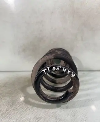 Rear coil spring