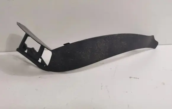 Rear/tail light trim molding