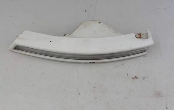 Volkswagen PASSAT B6 Front indicator light 3C0953041L