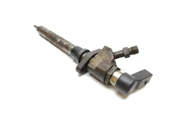 Citroen C5 Fuel injector A2C5951160