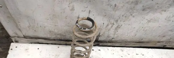 Rear coil spring