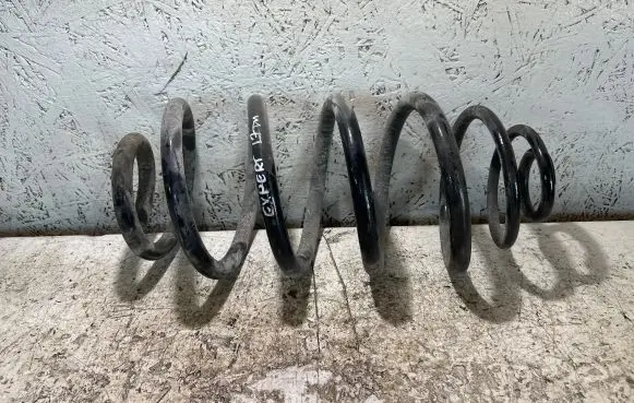 Peugeot Expert Rear coil spring