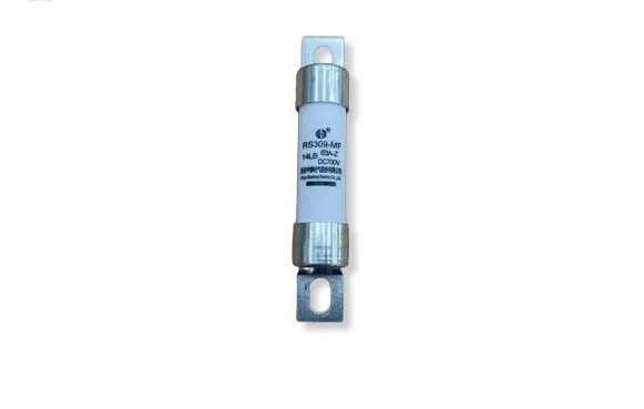 Tesla Model 3 Fuse RS309MF