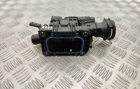 Thermostat/thermostat housing