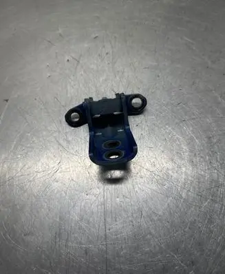 Renault Kadjar Front door lower hinge A046574 2551R