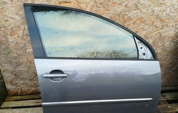 Volkswagen Golf V Front door