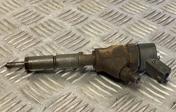Peugeot 406 Fuel injector 9640088780