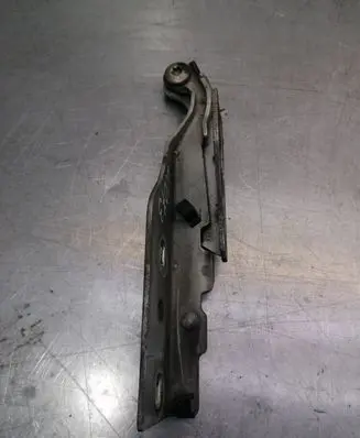Jaguar X-Type Engine bonnet/hood hinges 1X4316800AH