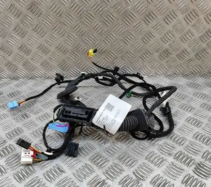 Skoda Enyaq iV Front door wiring loom 5LB971121AG