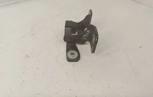 Chrysler 300 - 300C Rear door lower hinge