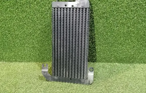 Renault Trafic III (X82) Fuel cooler (radiator) 