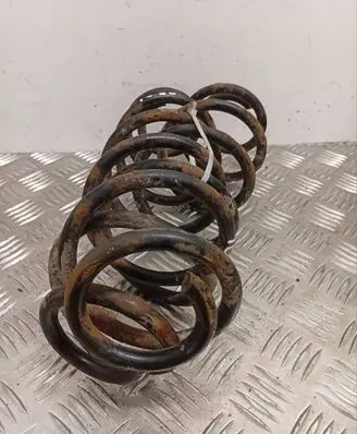 Rear coil spring