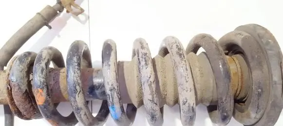 Front coil spring