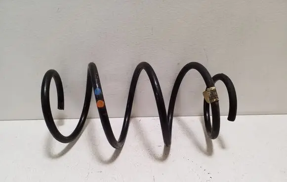 Front coil spring
