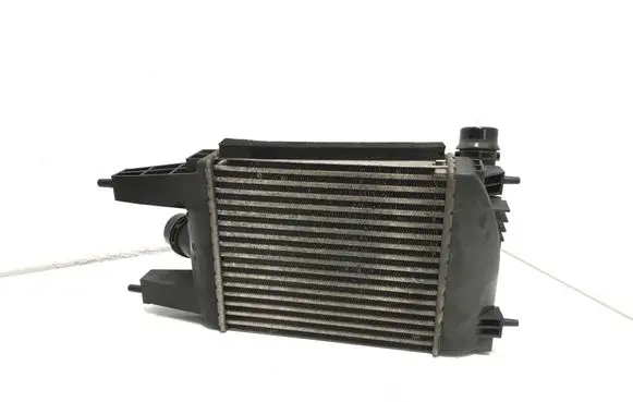Nissan Juke I F15 Intercooler radiator 144613ZU0B