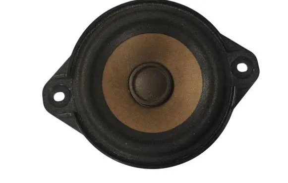 Tesla Model S Front door speaker 100483301A