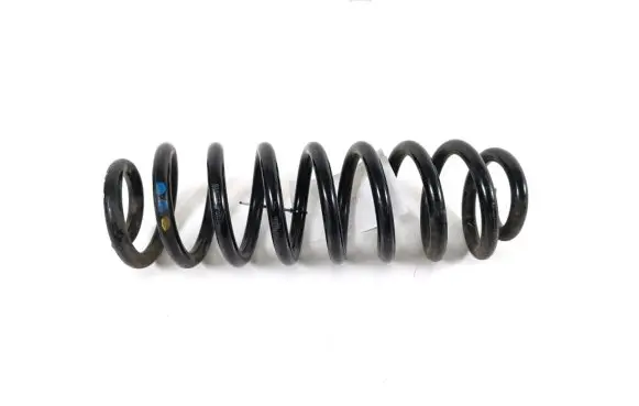 Dacia Spring Rear coil spring 550200356R