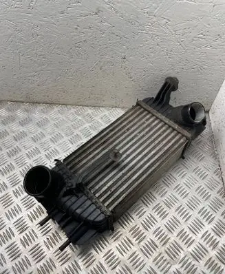 Nissan Juke I F15 Intercooler radiator CX235001151245