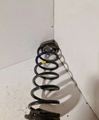 Rear coil spring