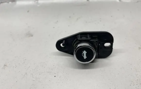 Dodge Charger Tailgate/boot open switch button 0202772A