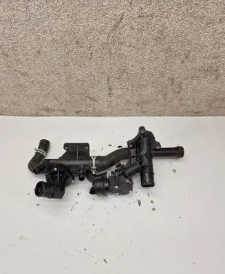 Thermostat/thermostat housing