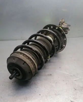 Fiat Punto (199) Front shock absorber/damper 51796546