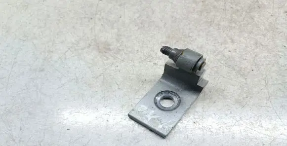 BMW X3 F25 Front door lower hinge 7068077