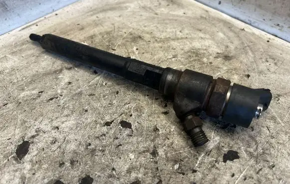 Hyundai Sonata Fuel injector 0445110258