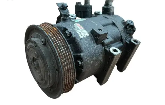 KIA Carens III Air conditioning (A/C) compressor (pump) pnbca08