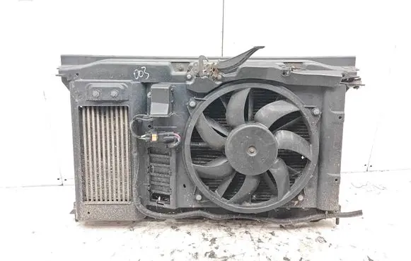 Citroen DS4 Radiator set 11507429 9876569788
