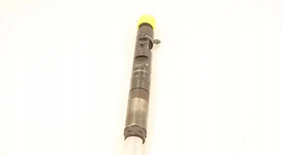 Renault Megane II Fuel injector EJBR02101Z