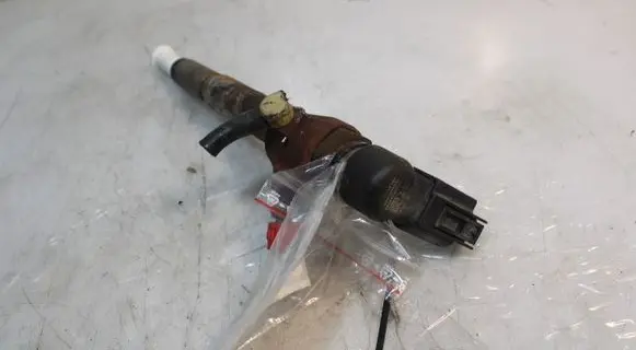 Renault Laguna III Fuel injector 8200294788