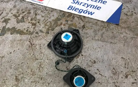BMW 5 F10 F11 Panel speaker 9169689