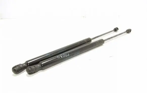 Dodge Journey Tailgate/trunk strut/damper 05178293ac