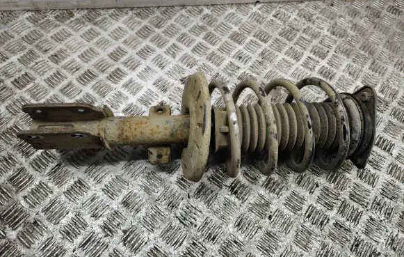 Citroen C4 II Picasso Front shock absorber/damper