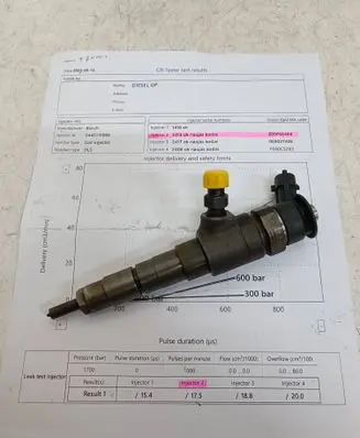 Citroen C4 Grand Picasso Fuel injector 0445110566