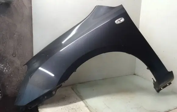 KIA Carens I Fender