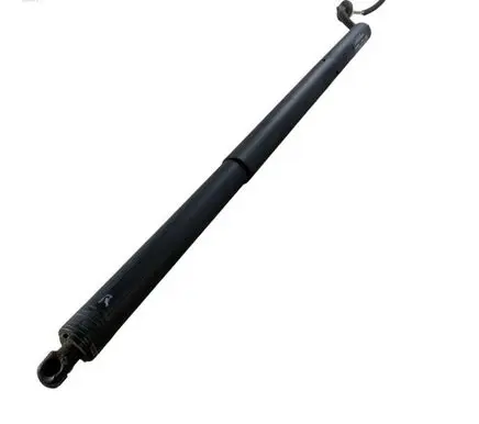 Chrysler Pacifica Tailgate/trunk strut/damper 68455759AA