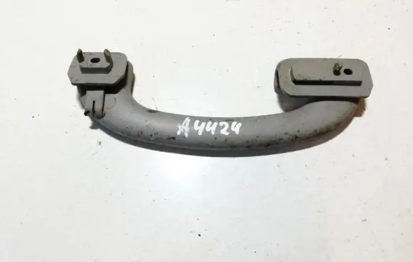 Ford Focus Rear interior roof grab handle
