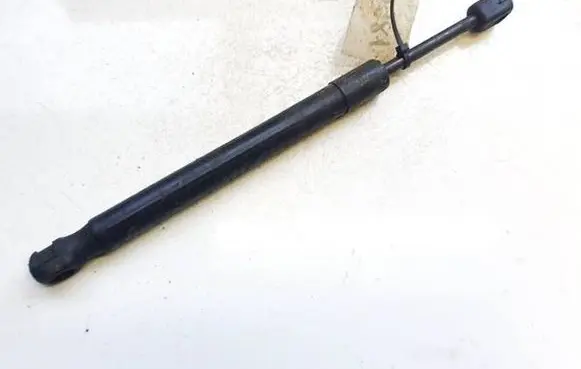 Tailgate/trunk strut/damper