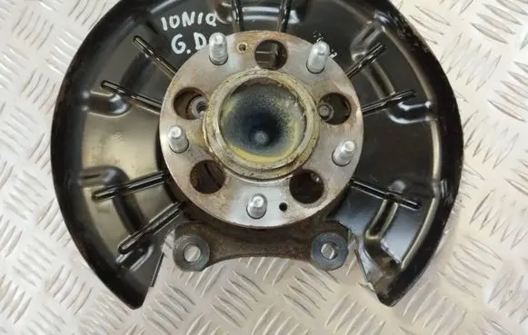 Hyundai Ioniq Rear wheel hub PA66GF35