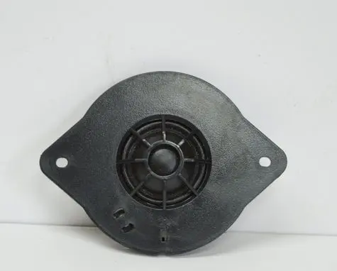 Panel speaker