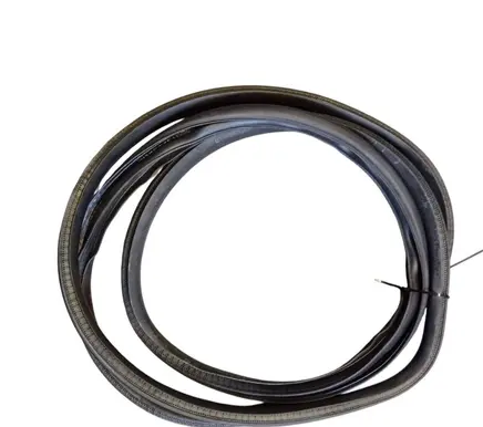 Honda Civic X Rubber seal rear door 
