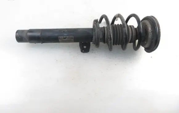 BMW X1 E84 Front shock absorber with coil spring 6851336